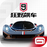 狂野飙车9无限金币钻石破解版下载  v3.9.1 国际服版