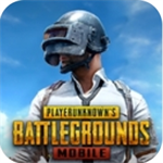 pubg国际版地铁逃生  v2.9.0 最新版