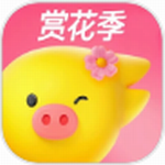 飞猪旅行app  v9.9.84.103 最新版