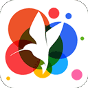 小鸟壁纸app